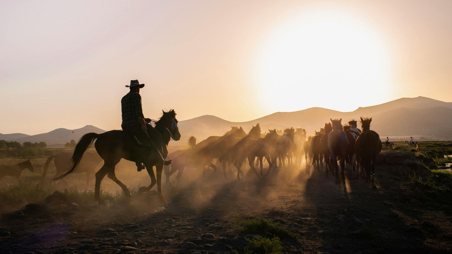 top peliculas western